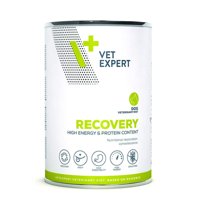 4T Veterinary Diet Recovery Dog Pui, 400 g
