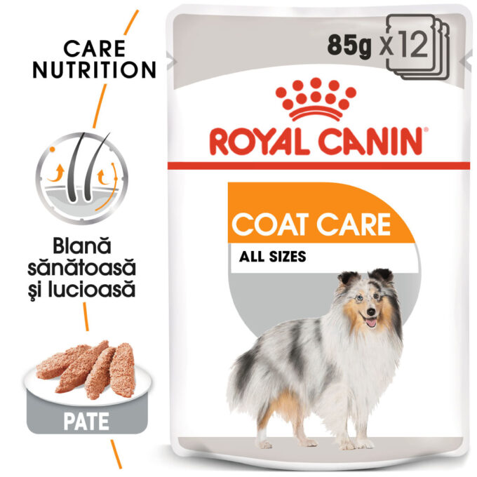 ROYAL CANIN Coat Care Adult, hrană umedă câini, blană sănătoasă și lucioasă, (pate), bax, 85g x 12buc 1 ROYAL CANIN Coat Care Adult, hrană umedă câini, blană sănătoasă și lucioasă, (pate), bax, 85g x 12buc