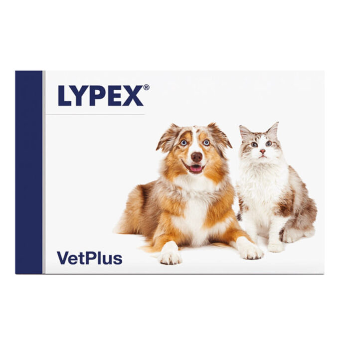 VETPLUS Lypex, supliment sistem digestiv câini, capsule VETPLUS Lypex, XS-XL, supliment sistem digestiv câini, cutie, 60 capsule