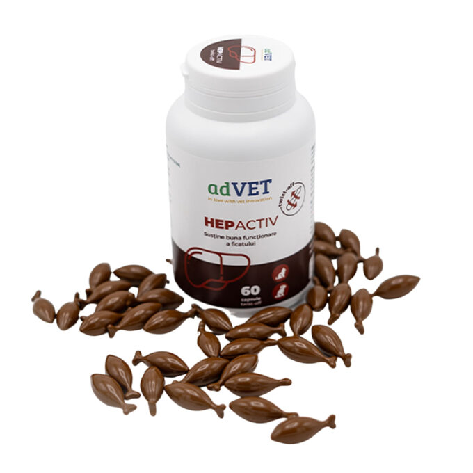 ADVET HepActiv Twist Off, supliment sistem hepatic câini, capsule ADVET HepActiv Twist Off, XS-XL, supliment sistem hepatic câini și pisici, flacon, 60 capsule