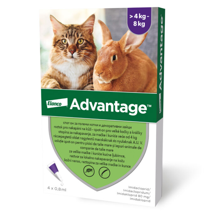 Advantage Pisica/Iepure 80, > 4 kg, 4 pipete