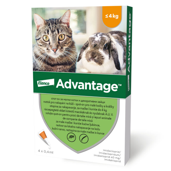 Advantage Pisica/Iepure 40, < 4 kg, 4 pipete