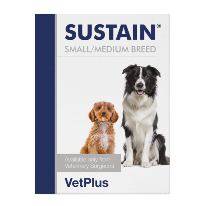 VETPLUS Sustain Small & Medium Breed, supliment sistem digestiv & probiotice, sistem imunitar câini, pudră VETPLUS Sustain Small & Medium Breed, XS-M, supliment sistem digestiv & probiotice, sistem imunitar câini, plic, 2.7g x 30buc pudră