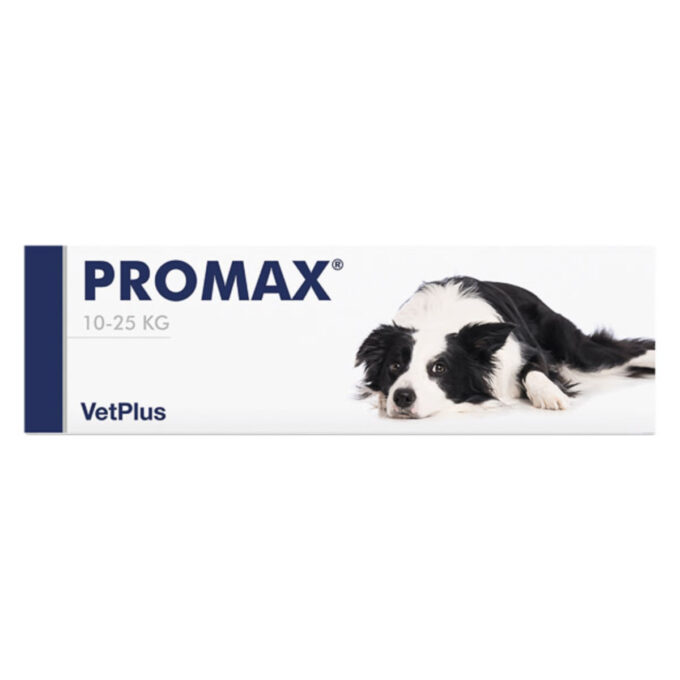VETPLUS Promax Medium Breed, supliment sistem digestiv & probiotice câini, pastă orală VETPLUS Promax Medium Breed, M, supliment sistem digestiv & probiotice câini, seringă gradată, 18ml pastă orală