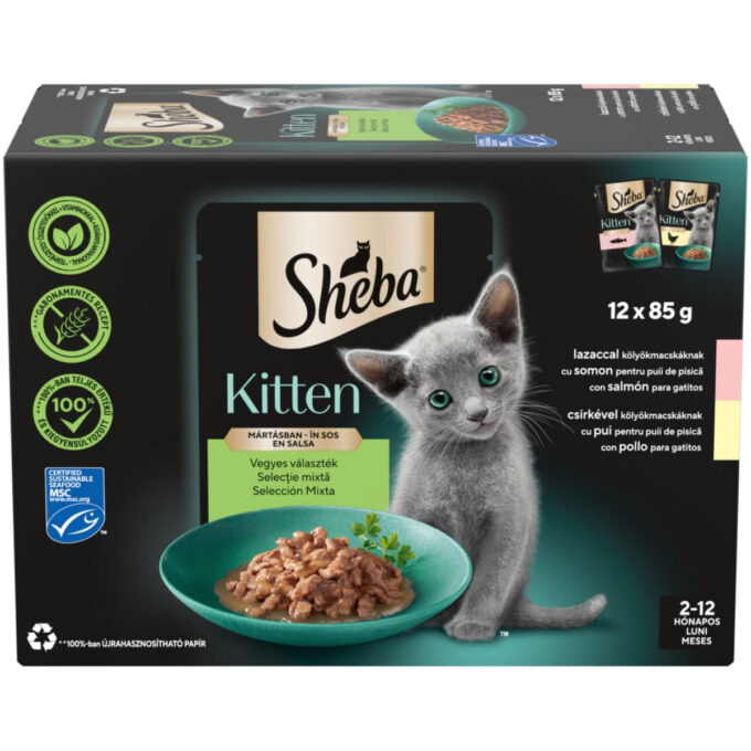 SHEBA Kitten Selectie Mixta, Somon și Pui, plic hrană umedă pisici junior, (în sos), multipack, 85g x 12buc