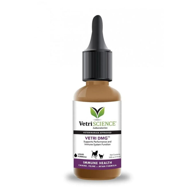 VETRISCIENCE Vetri DMG, supliment sistem imunitar câini, suspensie orală VETRISCIENCE Vetri DMG, XS-XL, supliment sistem imunitar câini, flacon, 114ml suspensie orală