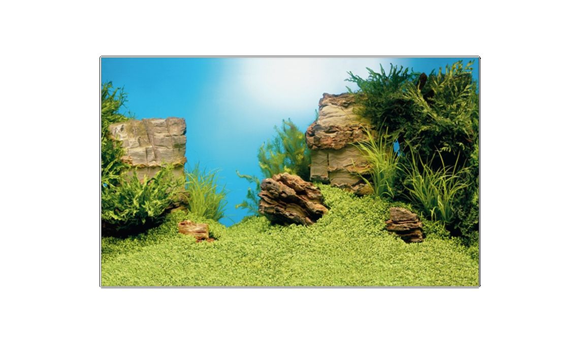 Juwel Decor Poster L 1 Juwel Decor Poster L