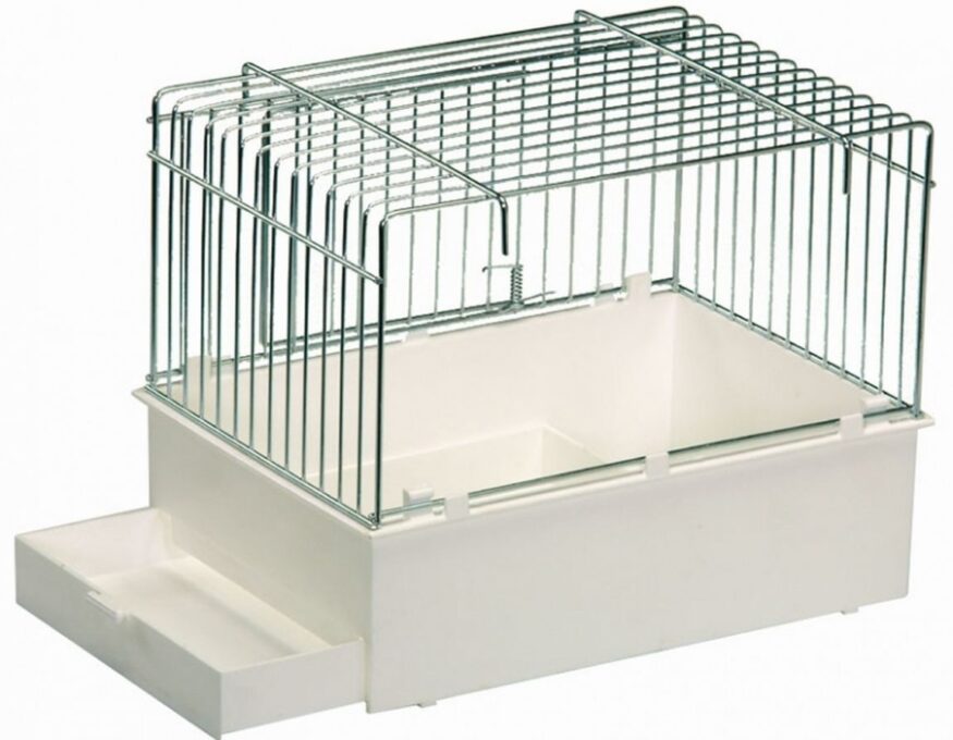 Colivie prezentare Alb / Argintiu, 24 x 16 x 19 cm