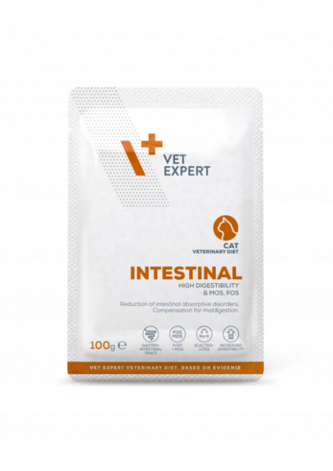 4T Dieta Veterinara pisici Intestinal Cat, VetExpert, plic 100g