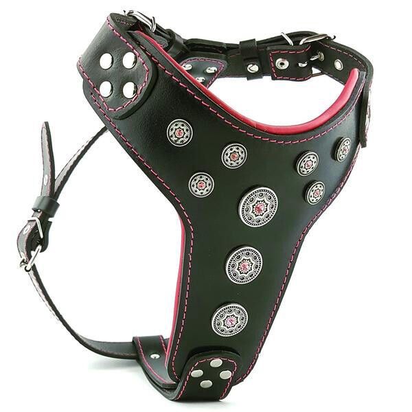 Bestia Ham Bijou, Piele Naturala, M: 50-75 cm, Negru/ Rosu