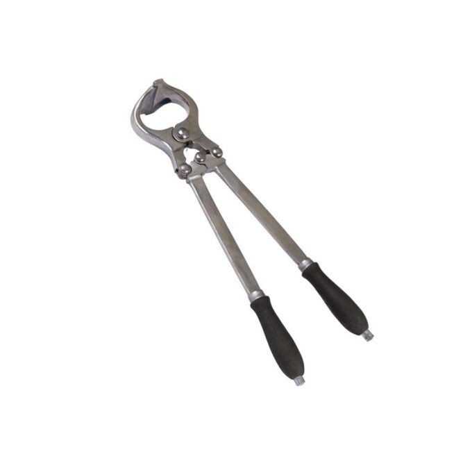 Cleste Castrat Tauri, Albert Kerbl, 47 cm
