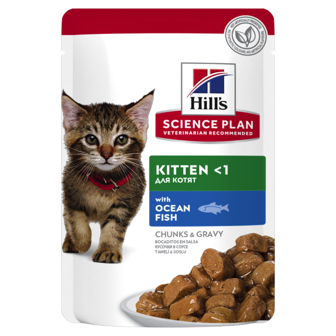 Hrana umeda pisici, Hill's Science Plan Feline Kitten Ocean Fish, 85 g 1 Hrana umeda pisici, Hill's Science Plan Feline Kitten Ocean Fish, 85 g