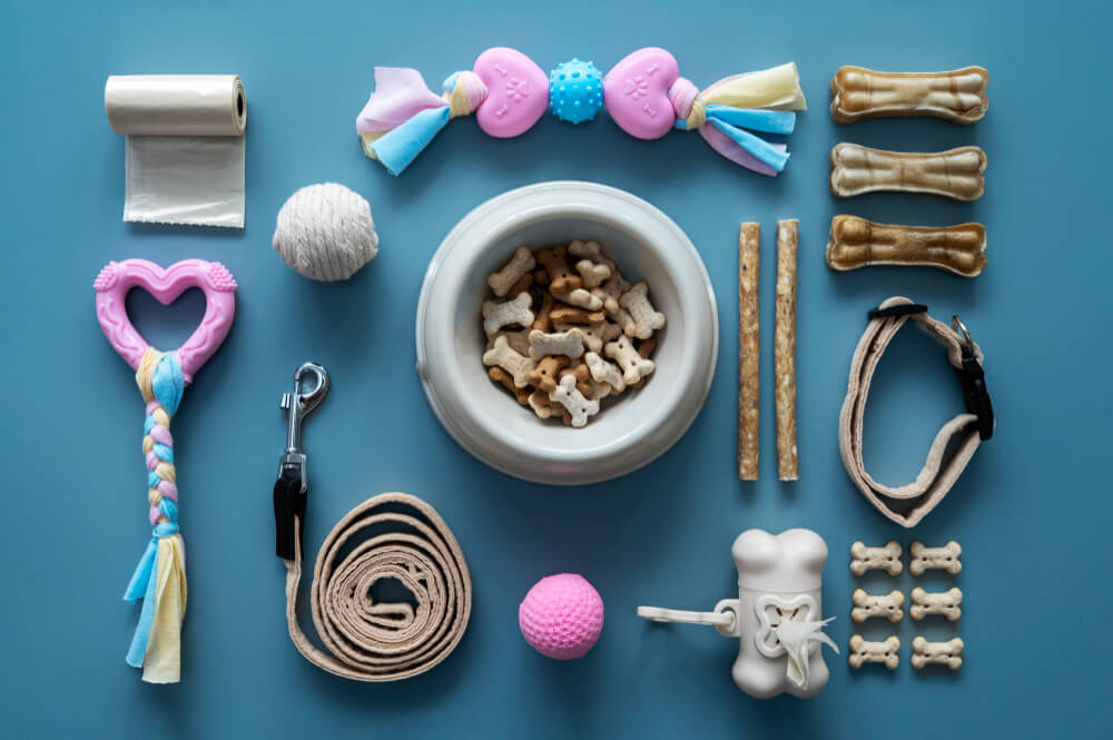 Accesorii animale produse esentiale care iti simplifica viata zilnic