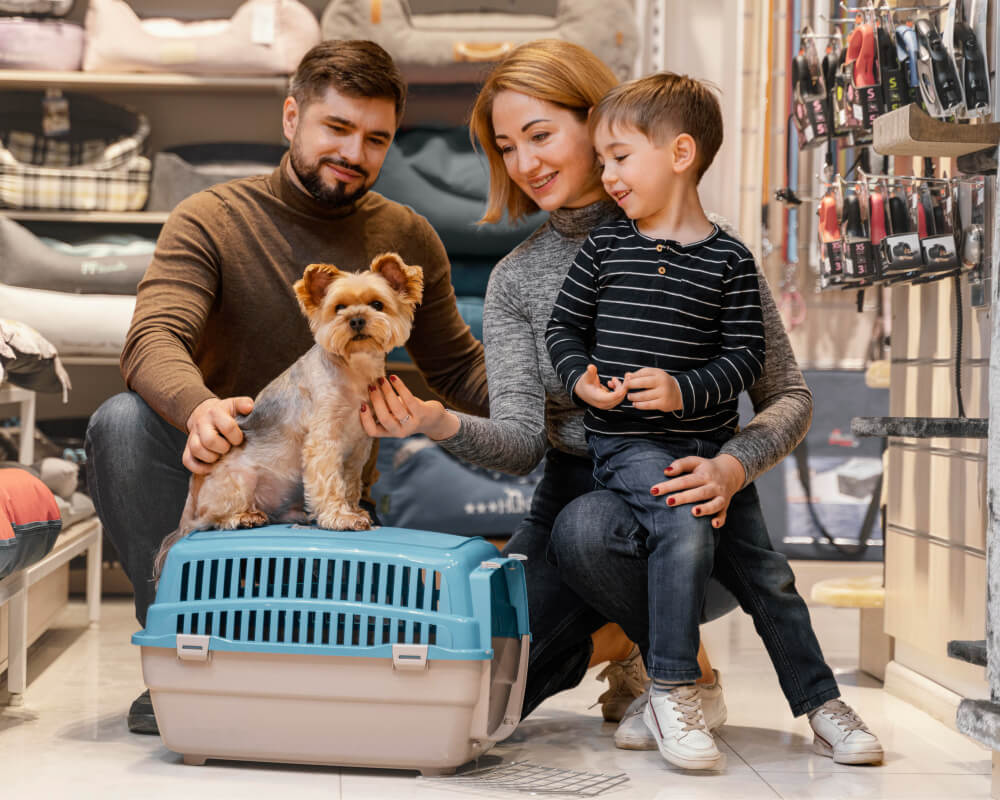 Pet shop online cum alegi cele mai bune produse pentru animale la preturi competitive