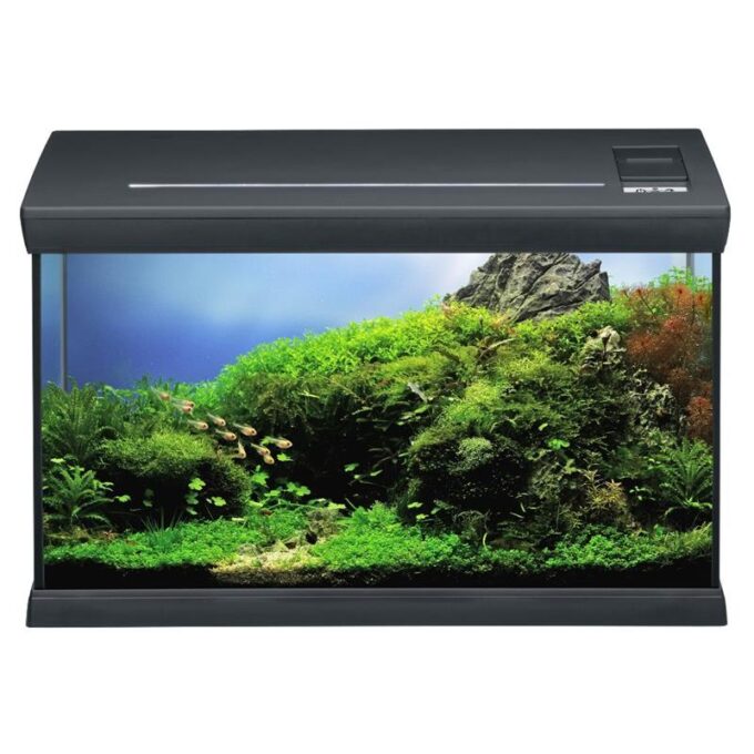Acvariu complet EHEIM aquaclass 66 anthracite  60 7x31x35 cm