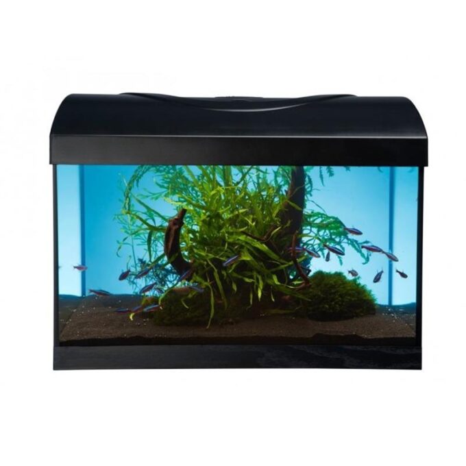 Acvariu Diversa Startup 50 LED 10W 37l