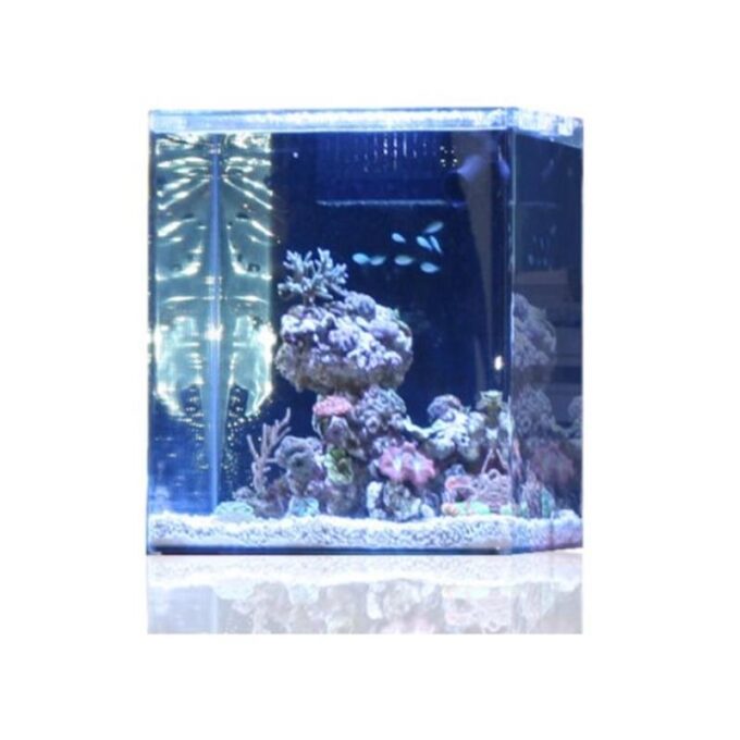 Acvariu marin Blau Open Reef 45x45x45 cm