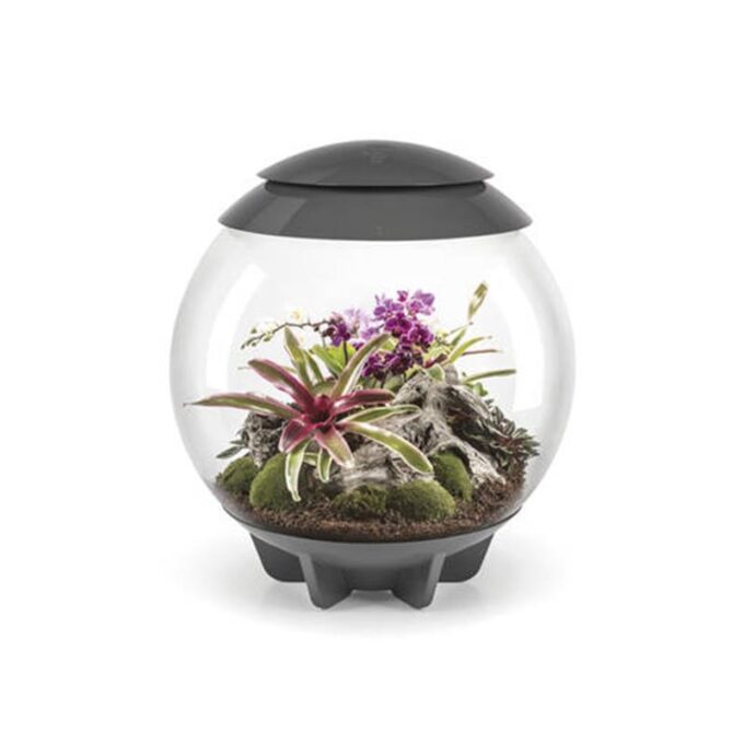 Acvariu Oase biOrb AIR 60 gri