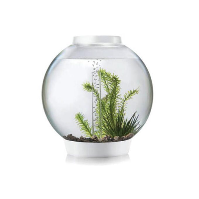 Acvariu Oase biOrb CLASSIC 30 LED alb