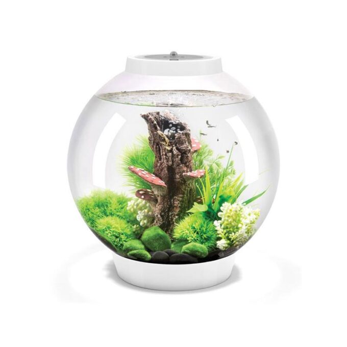 Acvariu Oase biOrb CLASSIC 30 LED Thermo alb