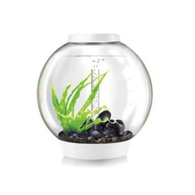 Acvariu Oase biOrb CLASSIC 60 LED alb