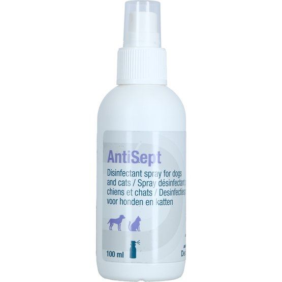 Antisept, 100 ml