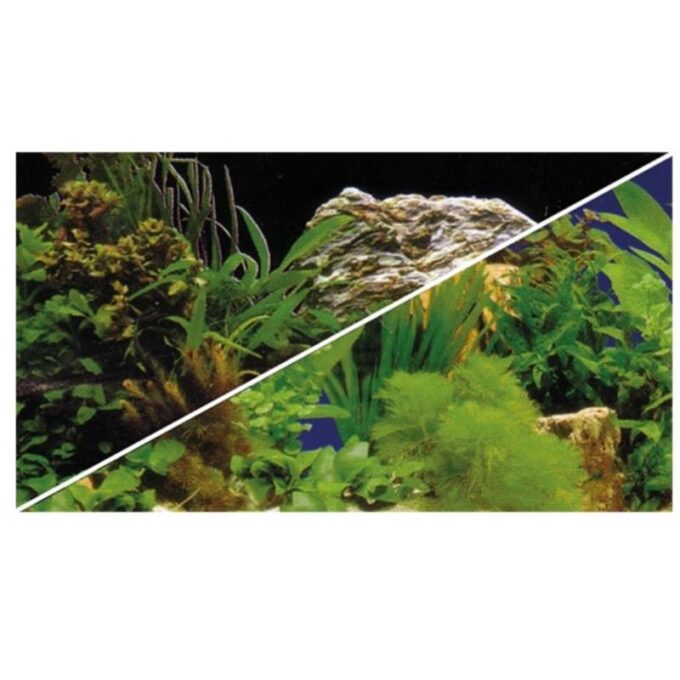Background dublu Hobby plante 1 Background dublu Hobby plante