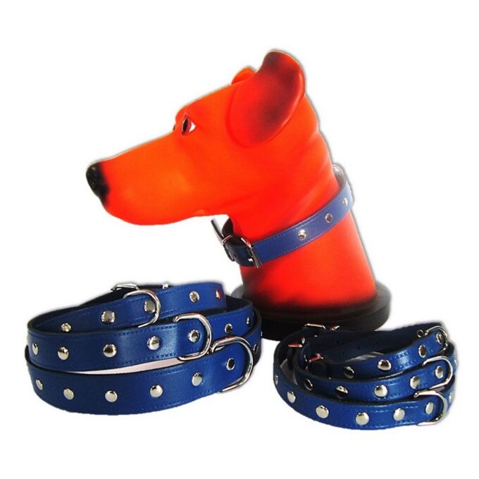 Zgarda Pet Expert Capse 1,6x41 Cm Albastru Nr.3