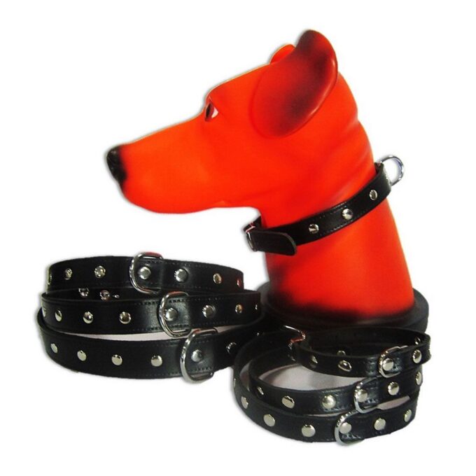 Zgarda Pet Expert Capse 1,2x33 Cm Negru Nr.1