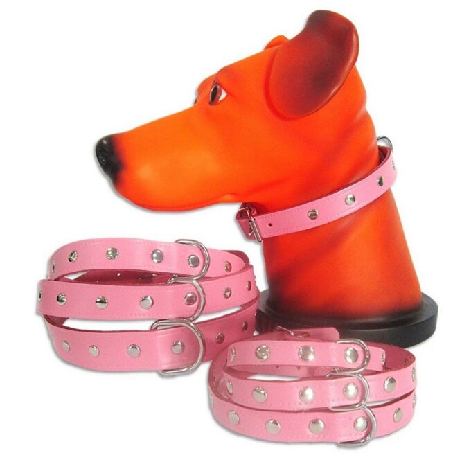 Zgarda Pet Expert Capse 1,4x37 Cm Roz Nr.2