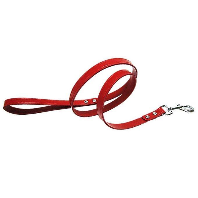 Lesa Pet Expert Clasic 1,2x110 Cm Rosu Nr.2 1 Lesa Pet Expert Clasic 1,2x110 Cm Rosu Nr.2