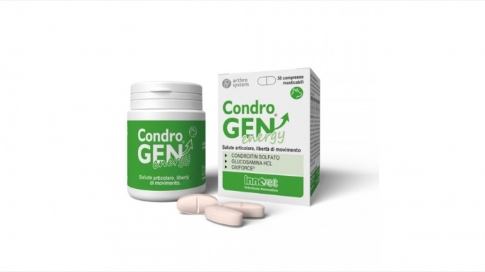 CondroGEN Energy, 60 tablete 1 CondroGEN Energy, 60 tablete