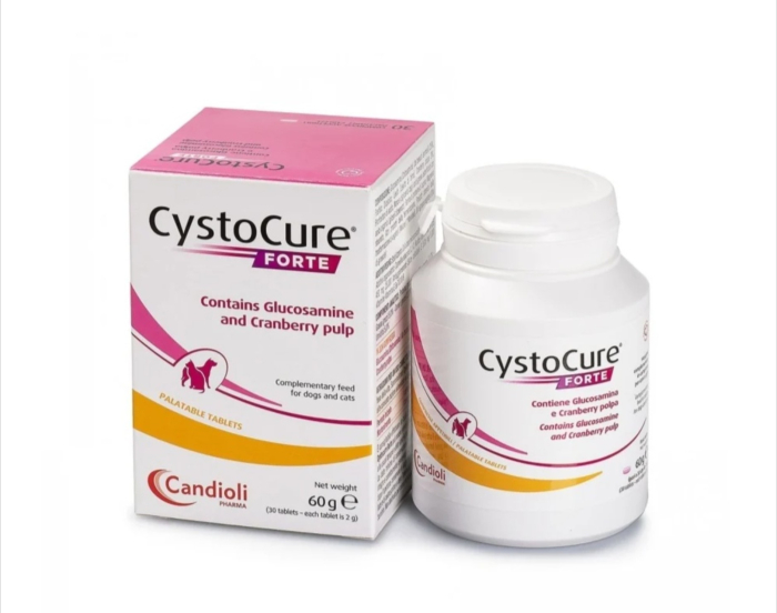 CYSTOCURE FORTE 30 TABLETS
