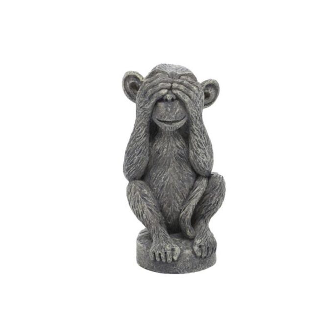 Decor acvariu sau terariu Hobby Don t See