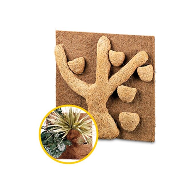 Decor natural Hobby Coconut Module 1 Decor natural Hobby Coconut Module