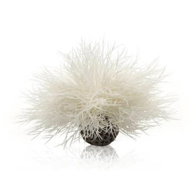 Decor Oase biOrb Aquatic sea lily alb 1 Decor Oase biOrb Aquatic sea lily alb