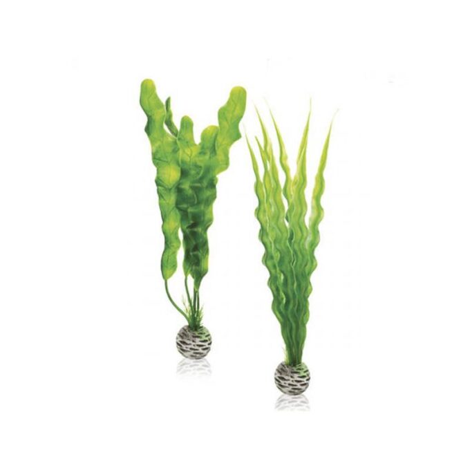 Decor Oase biOrb Easy set plante verzi M 1 Decor Oase biOrb Easy set plante verzi M