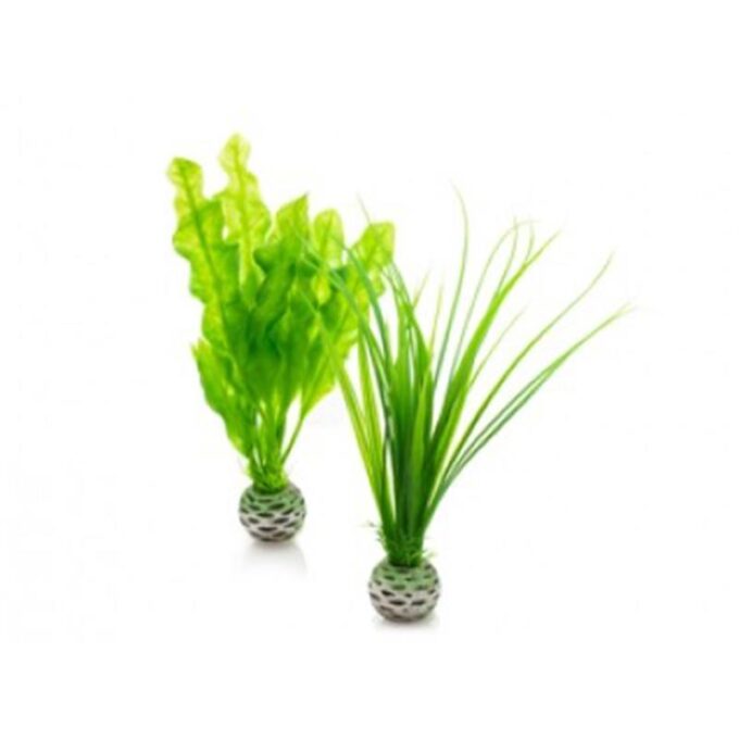 Decor Oase biOrb Easy set plante verzi S 1 Decor Oase biOrb Easy set plante verzi S