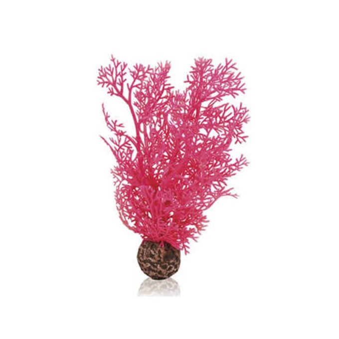 Decor Oase biOrb Sea fan S roz