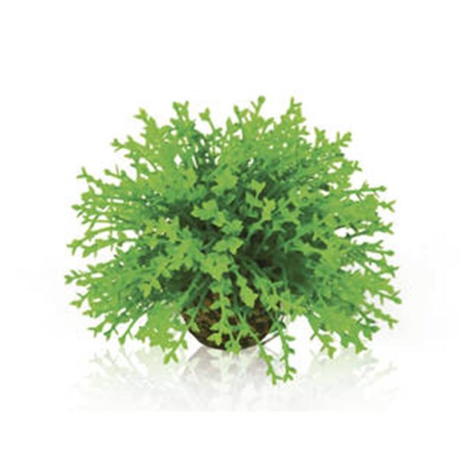 Decor planta Oase biOrb Flower ball verde 1 Decor planta Oase biOrb Flower ball verde