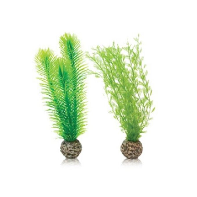 Decor set plante verzi Oase biOrb Feather fern S 2 bucati 1 Decor set plante verzi Oase biOrb Feather fern S 2 bucati