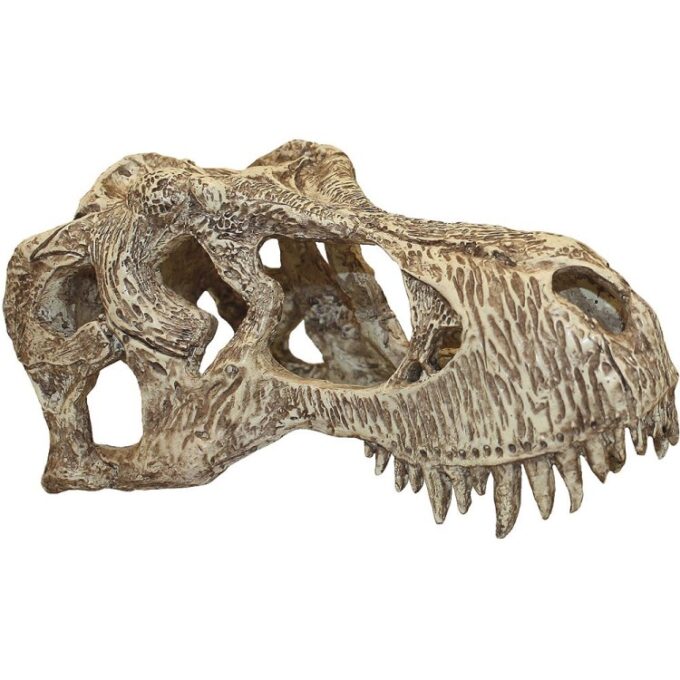 Decor terariu craniu de dinozaur Komodo T-Rex Skull S