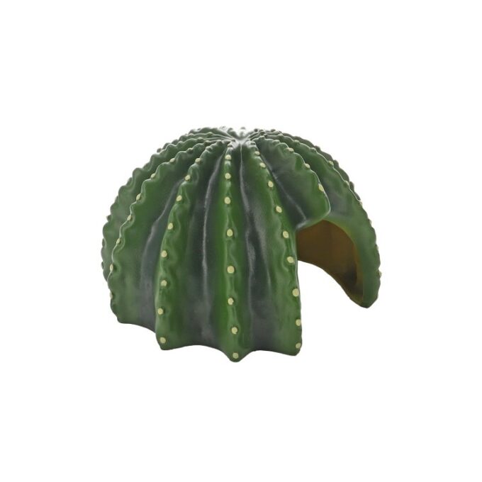 Decor tip pestera Hobby Cactus Home 2