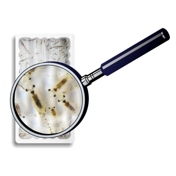 Dwarf-Shrimps vii 15x180ml