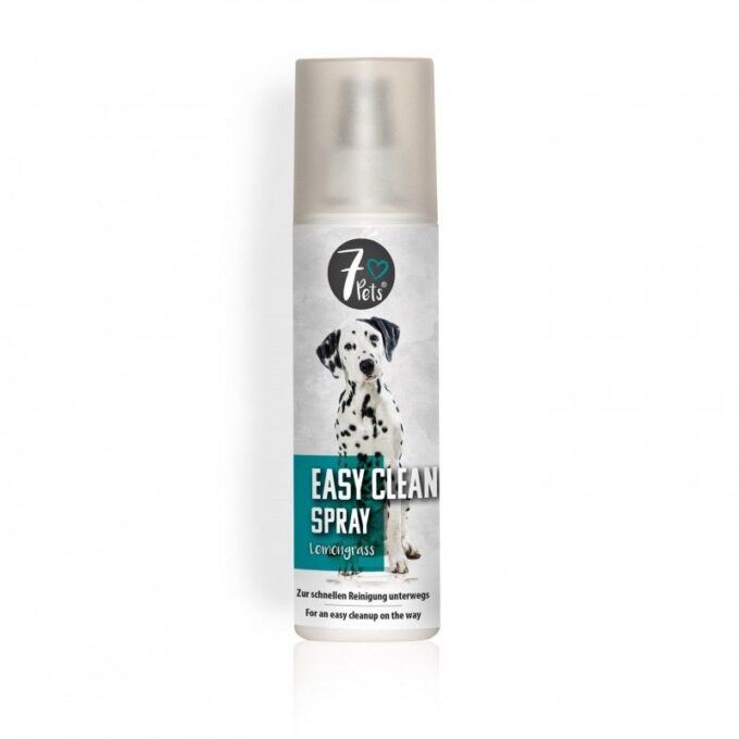 Easy Clean Spray, 200 ml