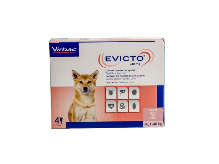 Evicto caini 240mg 20.1 - 40 kg x 4 pipete