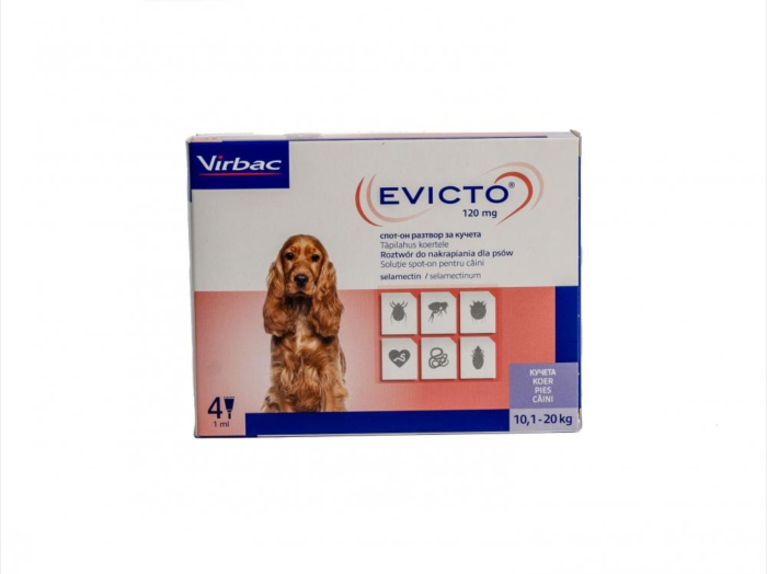 Evicto caini 120mg 10.1-20 kg x 4 pipete