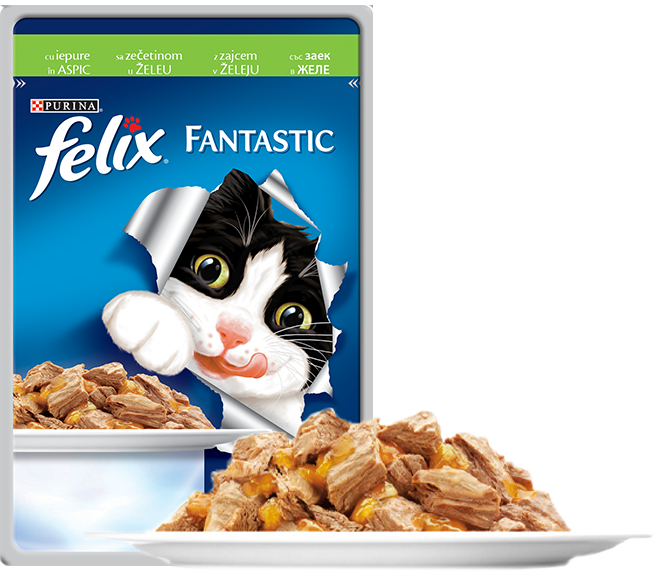 Felix Fantastic Iepure in Aspic 100g