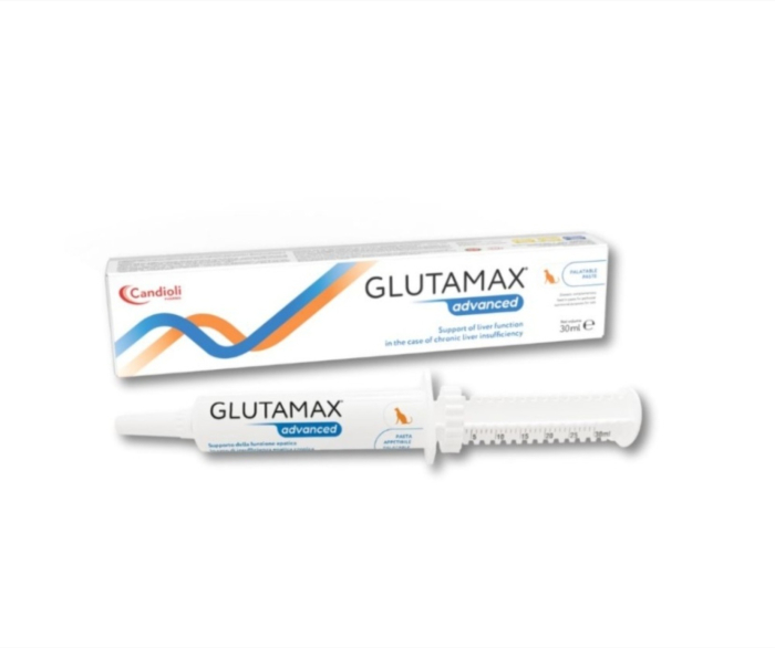 GLUTAMAX advanced pasta 30 ml