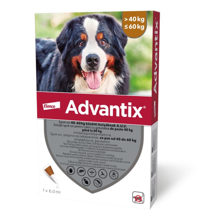 Advantix 600 Caini (40 - 60 kg), 1 pipeta